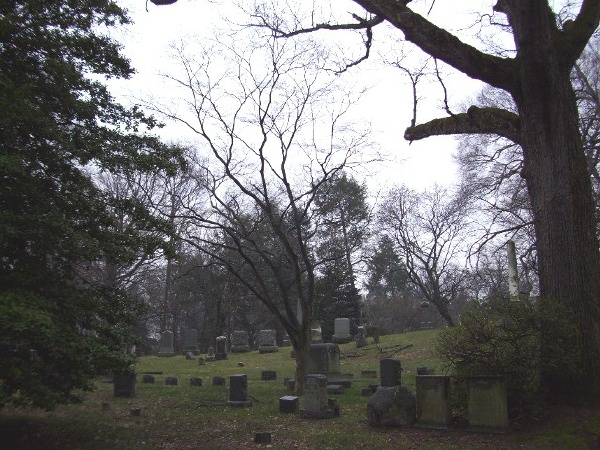 The Grinsted family at Rosedale Cemetery